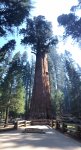 pismo6.jpg