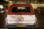 Ecto-11.jpg