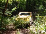 20150718_125327.jpg