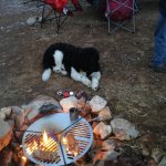 Nemo fire.jpg Nemo fire.jpg