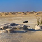 10394867_10202083539877940_6840079167145115676_n.jpg 10394867_10202083539877940_6840079167145115676_n.jpg