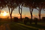 Piazzale-Belvedere-quattro-alberi-al-tramonto.jpg