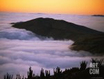 joel-sartore-dense-coastal-fog-or-camanchaca-nourishes-atacama-desert-life_i-G-30-3026-JHJBF00Z.jpg