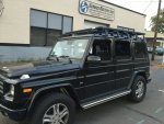IMG_0338.jpg