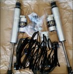 rear shocks.jpg