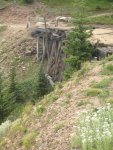 MoffatTrestle.jpg