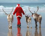 Santa on the Beach - 04.jpg