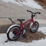 2015-12-25 11.28.02-1 copy.jpg