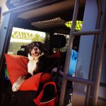 IMG_2749.jpg IMG_2749.jpg