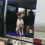 stella.jpg stella.jpg