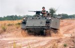 M113.jpg
