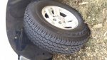 20160319_115107.jpg