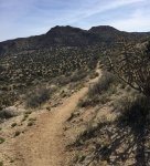 2016-03-16 11.30.55.jpg