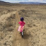 2016-03-10 13.30.43.jpg