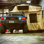 Copy of Enlight1.jpg