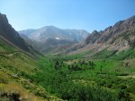 IMG_2858.JPG