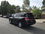 IMG_1985.jpg