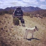 13123329_10207635007126373_6830126777092059255_o.jpg 13123329_10207635007126373_6830126777092059255_o.jpg