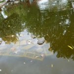 P1050675.jpg P1050675.jpg