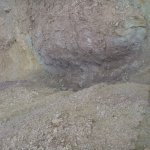 P1050698.jpg P1050698.jpg