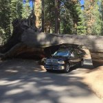 IMG_5420.jpg IMG_5420.jpg