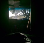 Berkley Marina Meadow.jpg