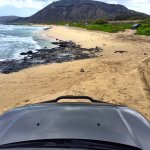 IMG_9147.JPG IMG_9147.JPG