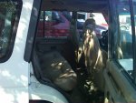 IMG00007-20101110-1311.jpg