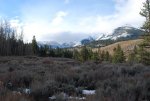 DSC_0307.jpg