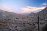 DSC_0435.jpg