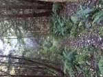 IMG_1643.JPG