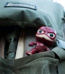 flash stowaway (1 of 1).jpg