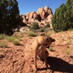 9 Twister Looking at Something That Is Behind Him.jpg