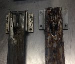 Garden vs salt solution.jpg