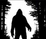 Screen Shot 2016-07-14 at 10.10.18 PM.jpg