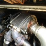 IMG_20160726_110318.jpg IMG_20160726_110318.jpg