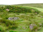 Beehive hut Dartmoor.jpg