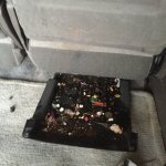 IMG_3674.jpg IMG_3674.jpg