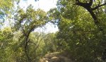 Trail.JPG Trail.JPG