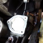 IMG_20160907_162704.jpg IMG_20160907_162704.jpg