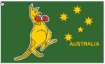 Boxing Kangaroo.jpg