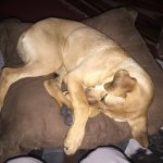 2016-09-29 21.37.19 copy.jpg