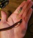 20161005_160741-768x891.jpg 20161005_160741-768x891.jpg