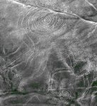 IMG_8056 (1168x1280).jpg