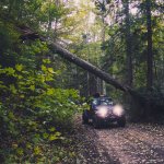 IMG_6944.jpg IMG_6944.jpg