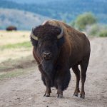 DSC_6611.jpg DSC_6611.jpg