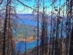 chelan burnt forest.jpg