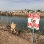 IMG_2077.jpg IMG_2077.jpg