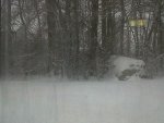 Outside.JPG