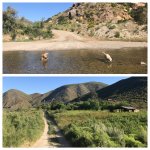 IMG_6297.jpg IMG_6297.jpg